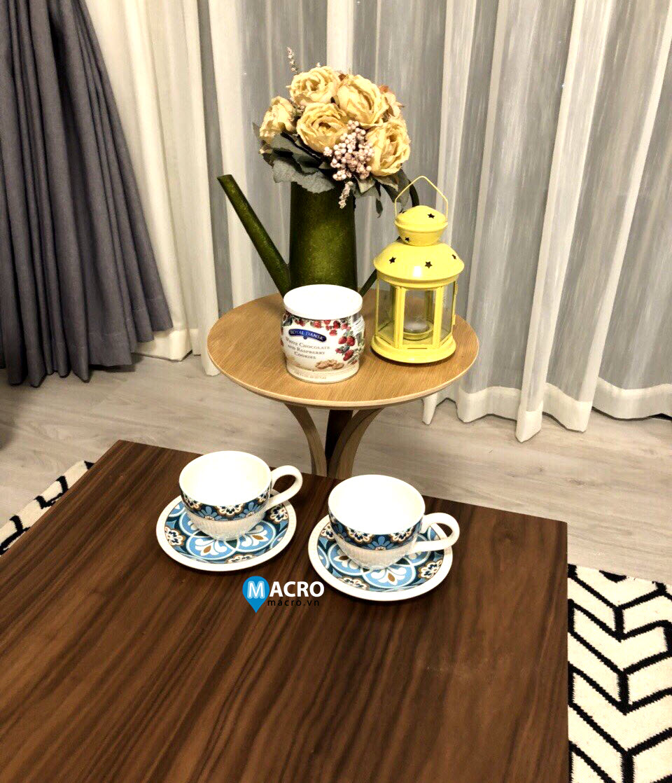 Apartment for rent in Dist 2 Ho Chi Minh city