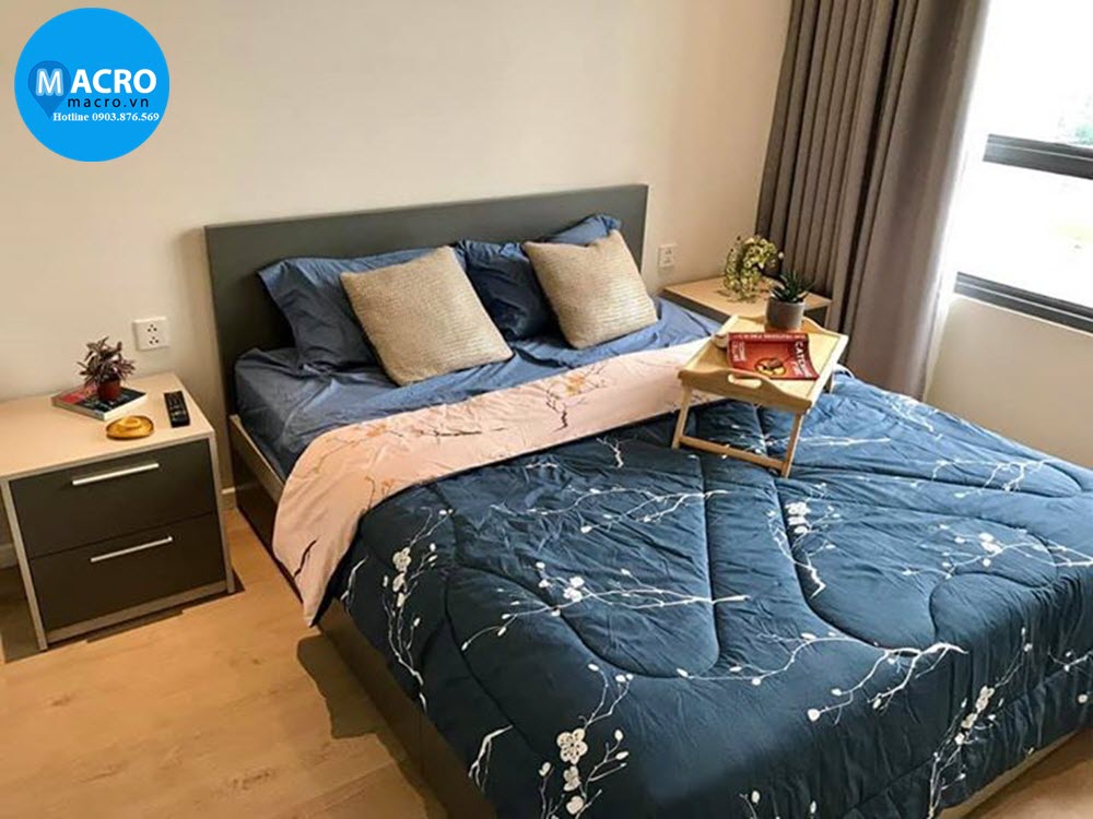 Diamond Island for rent in district 2