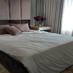 new city thu thiem for rent