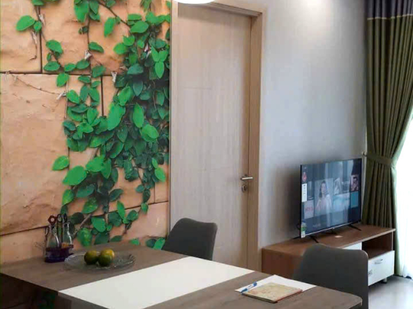 New-City-Thu-Thiem-for-rent